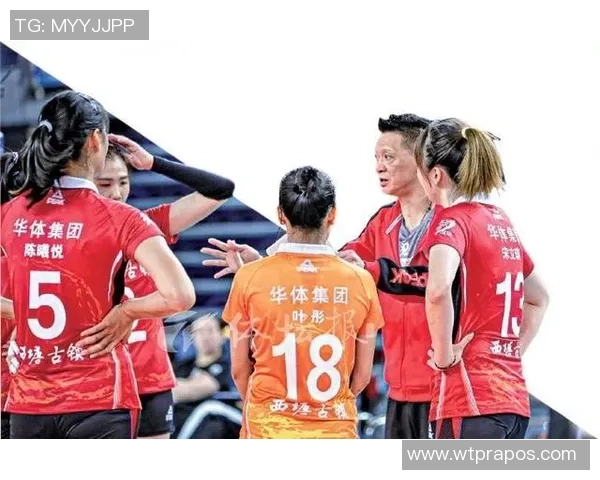 深圳排球队战术引发热议球迷与专家观点交锋分析